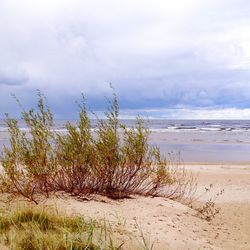 Scenic view of sea against cloudy sky