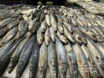 High angle view of fish for sale at market stall