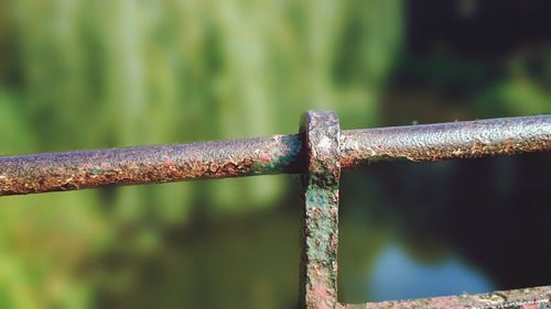 Close-up of rusty metal fence