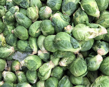 Full frame shot of brussels sprouts at market for sale