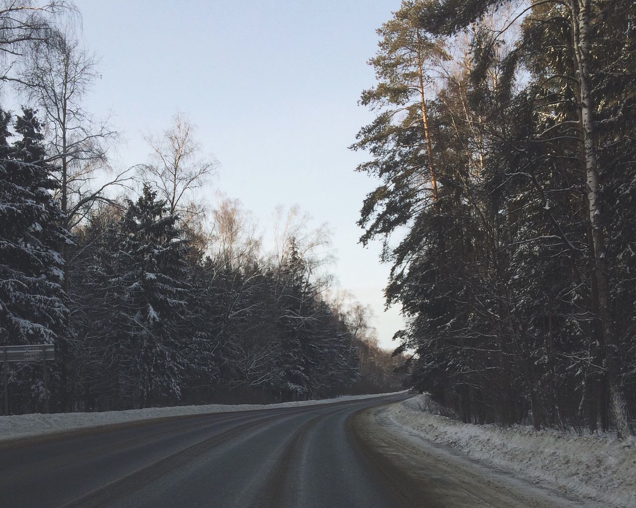 the way forward, road, tree, transportation, clear sky, diminishing perspective, snow, vanishing point, winter, empty road, cold temperature, country road, tranquil scene, nature, tranquility, sky, street, landscape, beauty in nature, road marking