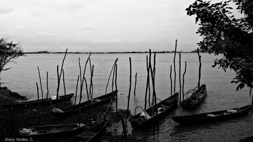 Boats moored in sea