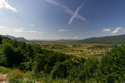 High angle view of trees on field against sky