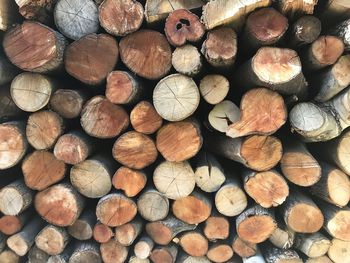 Full frame shot of logs