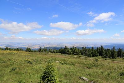 Scenic view of landscape against clear sky