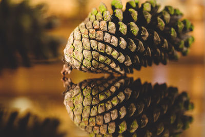 Close-up of weathered pine cone on table