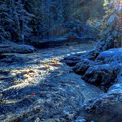 Scenic view of waterfall in forest