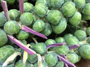 High angle view of vegetables for sale in market