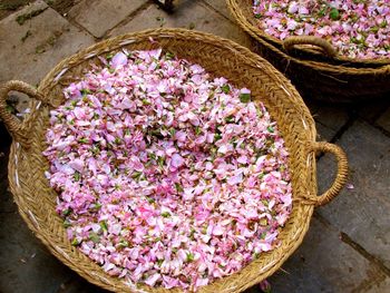 Close-up of flowers in basket