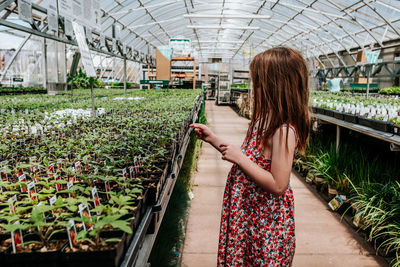 Side view of young girl looking at plants in green house