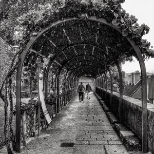 Footpath leading towards tunnel