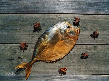 High angle view of crab on table