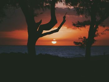 Silhouette tree against sea during sunset