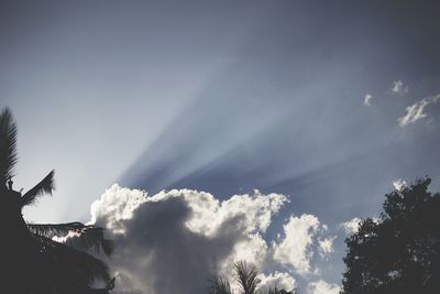 Low angle view of sky