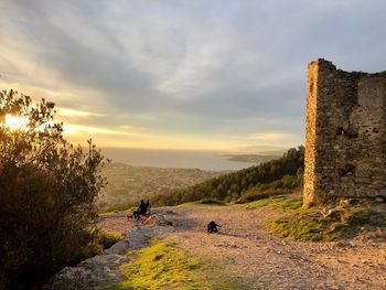 Couple with dogs sitting on bench against sky during sunset