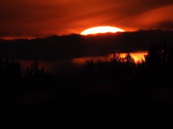 Silhouette trees in forest against sky at sunset