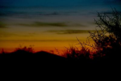 Silhouette of trees on landscape against sunset sky