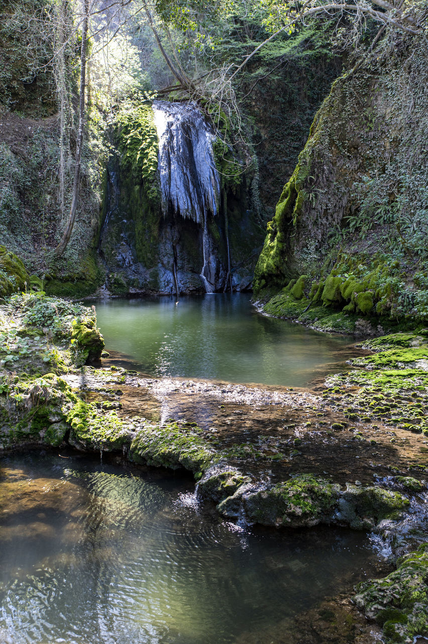 water, beauty in nature, tree, plant, scenics - nature, nature, river, stream, rock, body of water, land, forest, water feature, tranquility, waterfall, no people, wilderness, environment, non-urban scene, watercourse, tranquil scene, creek, day, outdoors, idyllic, landscape, flowing water, growth, green, rock formation, travel destinations, rapid, travel