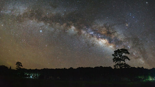 Majestic view of star field at night