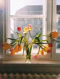 Close-up of pink flower in pot