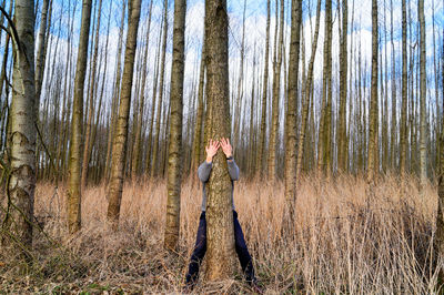 Man in forest
