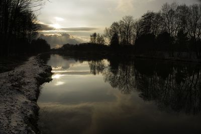 Reflection of trees in calm lake