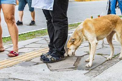 Low section of man walking on street