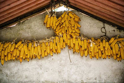 Low angle view of clothes drying