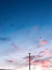 Low angle view of bird flying against sky