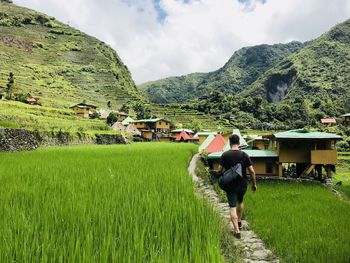 Rear view of woman walking on field