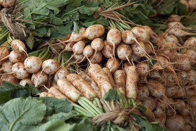 Dikon radishes for sale at market