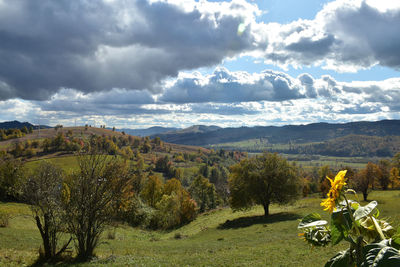 Scenic view of landscape against sky