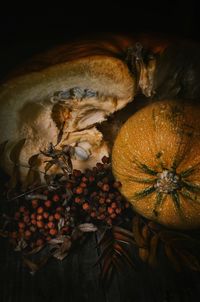 High angle view of pumpkins on dry flowers