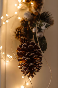 Close-up of christmas decoration hanging on plant