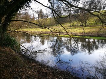 Reflection of trees in lake against sky