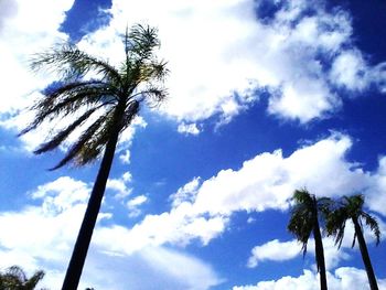 Low angle view of palm trees against cloudy sky