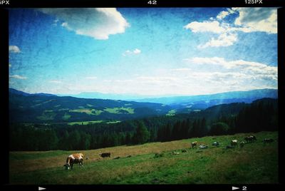 Cows grazing on grassy field