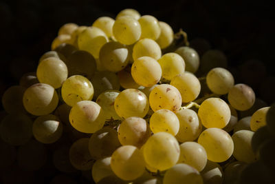Close-up of grapes against black background