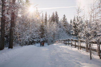 People walking on snow covered landscape