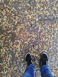 Low section of person standing on autumn leaves