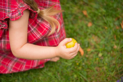 Midsection of woman holding apple against plants