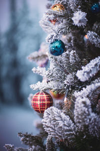 Close-up of christmas tree in snow