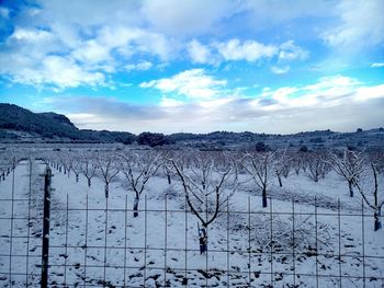 Scenic view of frozen lake against sky