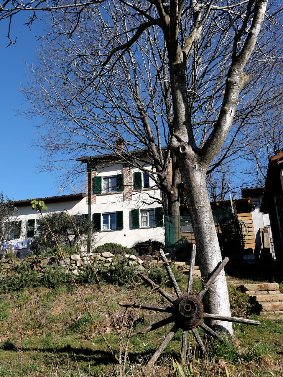 tree, architecture, built structure, plant, building exterior, building, bare tree, house, nature, rural area, no people, sky, branch, day, urban area, residential district, flower, outdoors, home, tree trunk, trunk, sunlight, grass, old, abandoned, field, land