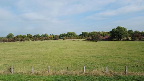 Trees on field against sky