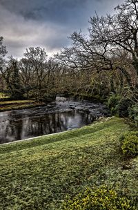 Scenic view of river amidst trees against sky