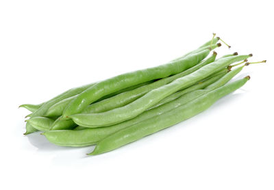 High angle view of green leaf on white background