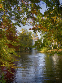 Scenic view of lake in forest against sky during autumn