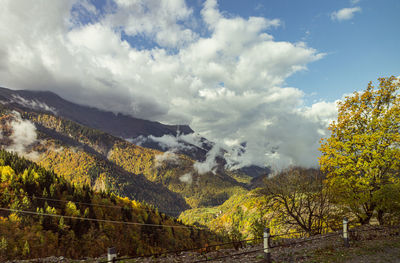 Scenic view of landscape against sky