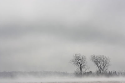 Bare trees on landscape against sky